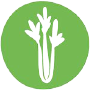 Sellerie